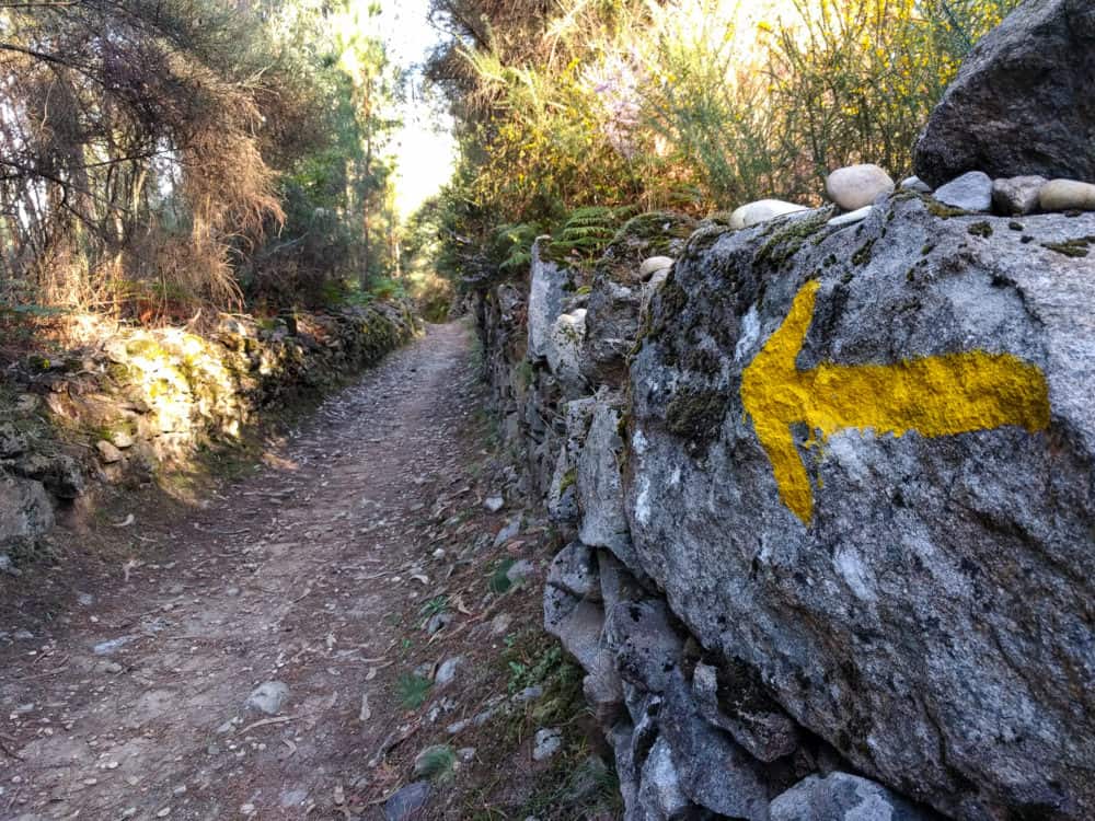 Walking the Camino de Santiago